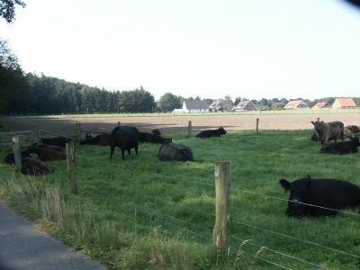 Sommer 2002.
Ein Teil des Ortes vom Ortsrand her gesehen.
