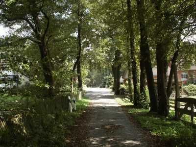 Sommer 2002.
Weg zum Feld
